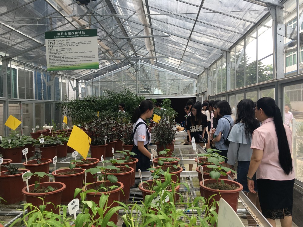 The International Business Cohort visits the Museum’s greenhouse 